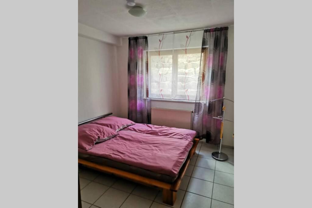 Ferienwohnung In Singen Am Hohentwiel - Seenah 외부 사진