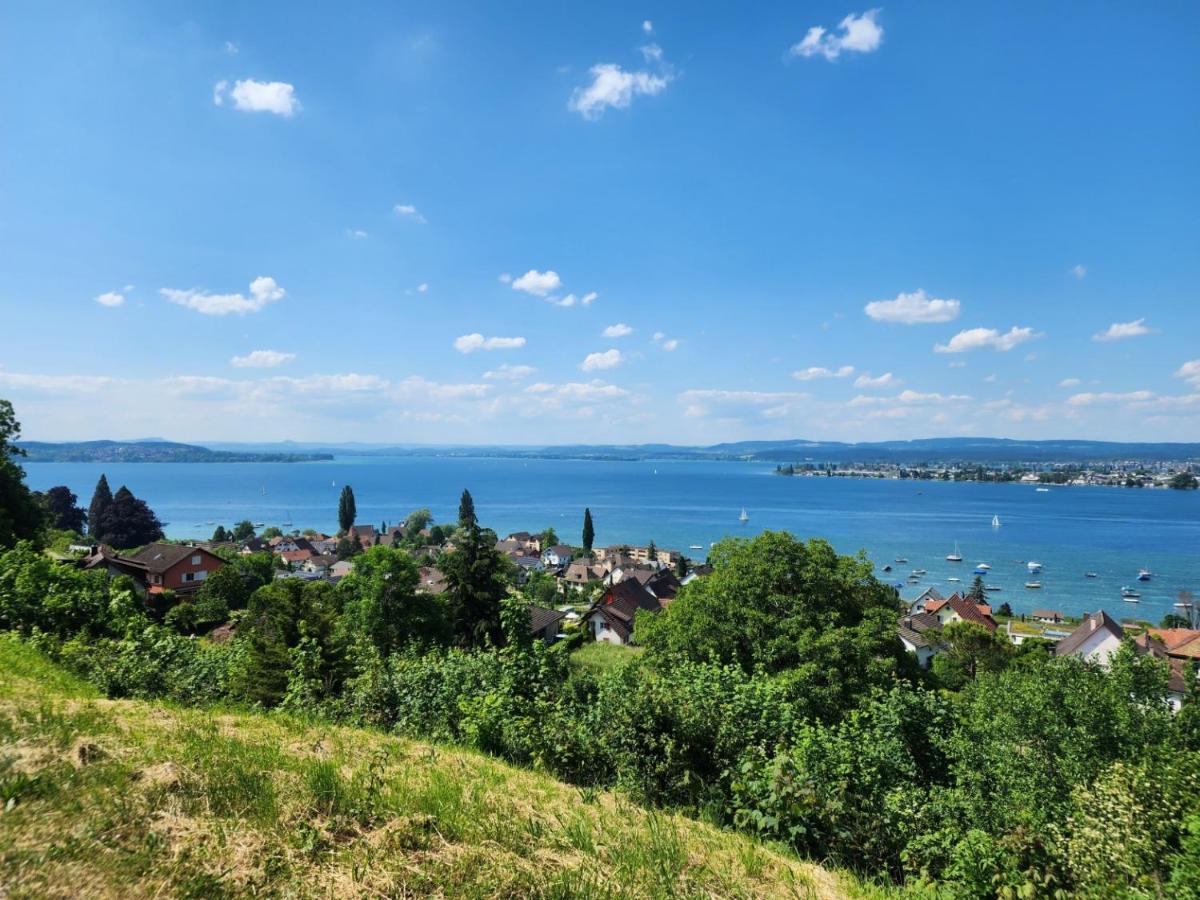 Ferienwohnung In Singen Am Hohentwiel - Seenah 외부 사진